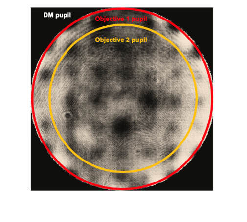 Figure 1. Example of the aperture of two different objectives imaged onto a 69 actuator ALPAO deformable mirror.