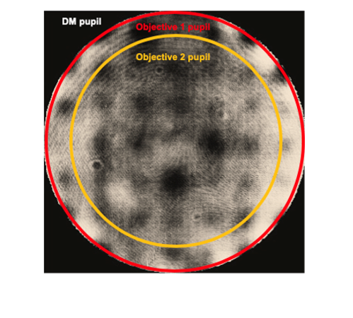 Figure 1. Example of the aperture of two different objectives imaged onto a 69 actuator ALPAO deformable mirror.