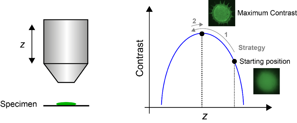 Figure 1. Simple example of sensorless AO. The objective is manually adjusted until the image contrast is maximised. A typical strategy is to move the objective in the direction in which the contrast increases, until the contrast begins to reduce again. Then the direction is reversed to go back to the location of maximum image quality. An example of a pollen grain image is shown.