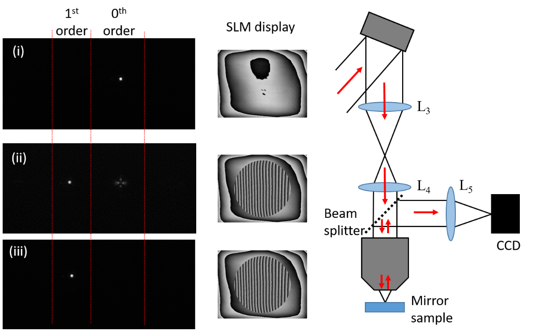Figure 5: Checking operation of the SLM. A mirror sample is placed in the focal plane of the objective. The CCD is moved in conjunction with L5 to image the focal intensity distribution (image (i)). A blazed grating of moderate period is displayed on the SLM, which should result in a transverse movement of the focus, with light efficiently diffracted into the 1<sup>st</sup> order. If there is a problem with the alignment, there may still be appreciable light in the 0<sup>th</sup> order, as seen in image (ii). This may be due to misalignment of SLM and objective aperture, the laser polarization not perfectly aligned with the SLM fast axis, a wrong value of the grayscale corresponding to a 2π phase wrap, or other factors. When everything is appropriately aligned as in image (iii), there should be high efficiency direction of light into the 1<sup>st</sup> order.