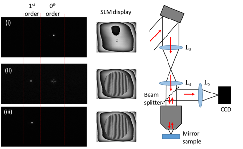 Figure 5: Checking operation of the SLM. A mirror sample is placed in the focal plane of the objective. The CCD is moved in conjunction with L5 to image the focal intensity distribution (image (i)). A blazed grating of moderate period is displayed on the SLM, which should result in a transverse movement of the focus, with light efficiently diffracted into the 1<sup>st</sup> order. If there is a problem with the alignment, there may still be appreciable light in the 0<sup>th</sup> order, as seen in image (ii). This may be due to misalignment of SLM and objective aperture, the laser polarization not perfectly aligned with the SLM fast axis, a wrong value of the grayscale corresponding to a 2π phase wrap, or other factors. When everything is appropriately aligned as in image (iii), there should be high efficiency direction of light into the 1<sup>st</sup> order.
