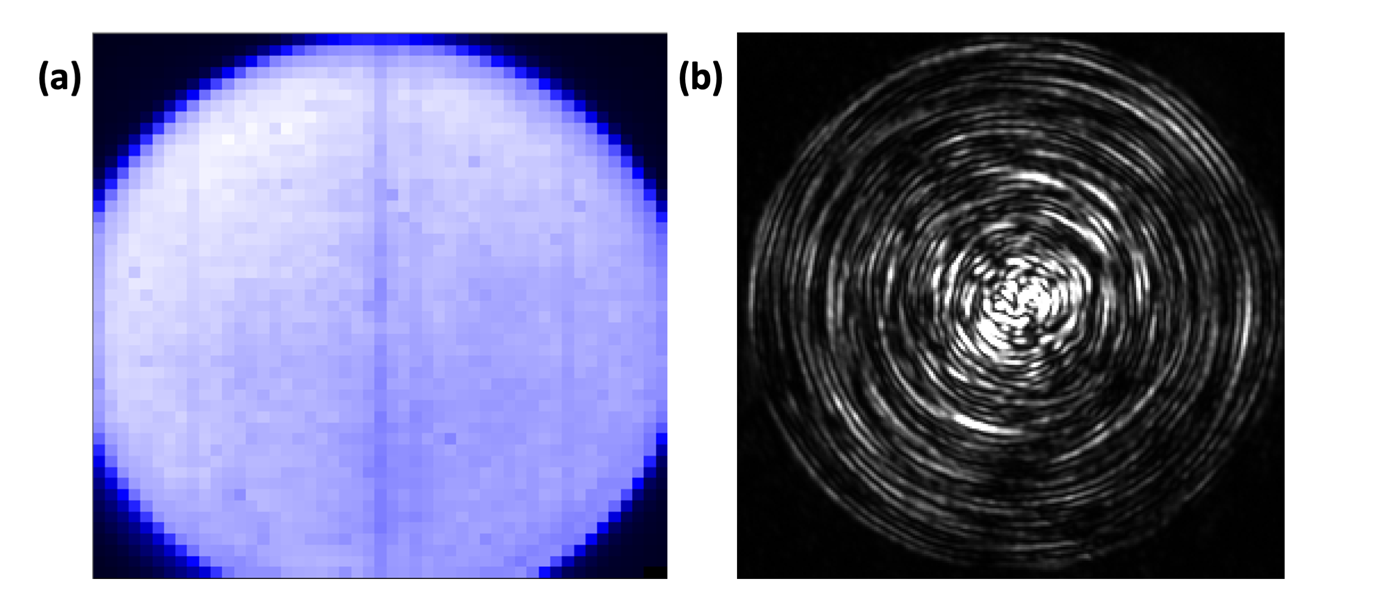 Figure 4.3. (a) Proximal facet in focus and (b) Centred MMF/coupling lens.