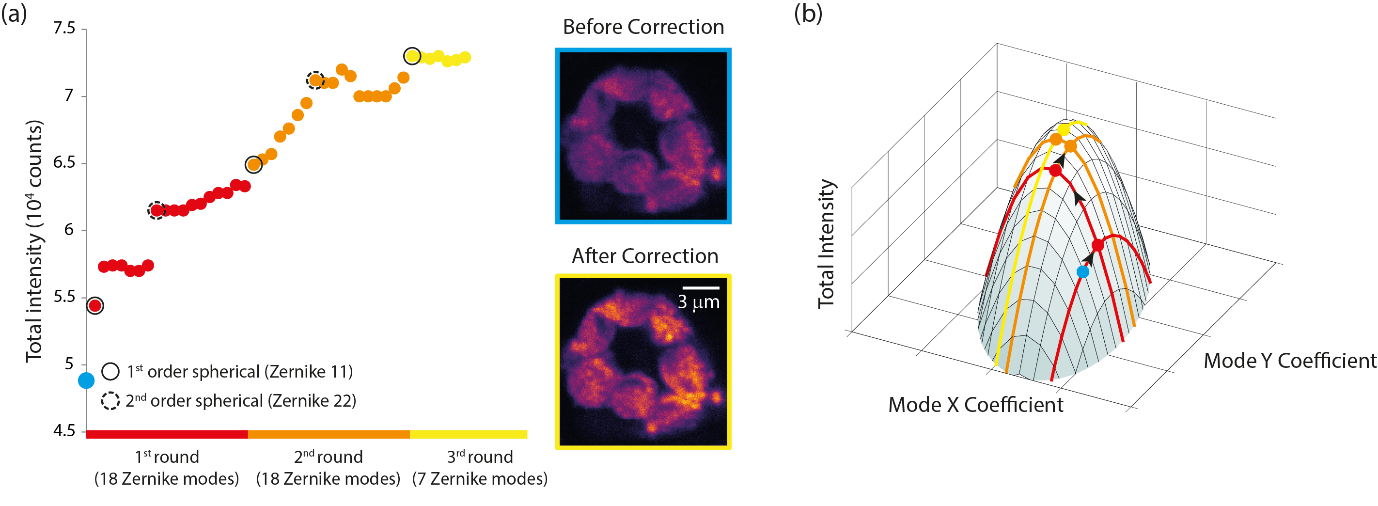 Figure 12. Example of correcting aberrations in a specimen in which multiple aberrations are present.