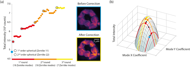 Figure 12. Example of correcting aberrations in a specimen in which multiple aberrations are present.