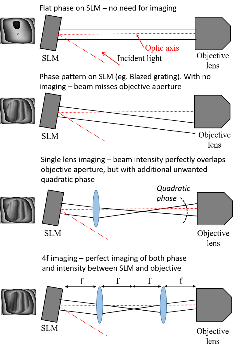 Figure 2: For accurate phase operation of the SLM device, it is important to image the SLM onto the objective back aperture. Without any imaging, the light diffracts between the SLM and objective, such that the objective aperture is not uniformly filled and the phase modulation is altered. While it is possible to image in intensity with a single lens, an additional unwanted quadratic phase is introduced. 4f imaging (bottom panel) allows for accurate relay of both intensity and phase between the SLM and objective pupil plane.