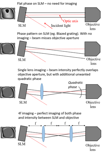 Figure 2: For accurate phase operation of the SLM device, it is important to image the SLM onto the objective back aperture. Without any imaging, the light diffracts between the SLM and objective, such that the objective aperture is not uniformly filled and the phase modulation is altered. While it is possible to image in intensity with a single lens, an additional unwanted quadratic phase is introduced. 4f imaging (bottom panel) allows for accurate relay of both intensity and phase between the SLM and objective pupil plane.