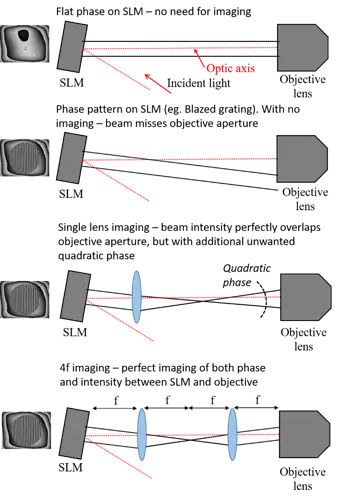 Figure 2: For accurate phase operation of the SLM device, it is important to image the SLM onto the objective back aperture. Without any imaging, the light diffracts between the SLM and objective, such that the objective aperture is not uniformly filled and the phase modulation is altered. While it is possible to image in intensity with a single lens, an additional unwanted quadratic phase is introduced. 4f imaging (bottom panel) allows for accurate relay of both intensity and phase between the SLM and objective pupil plane.