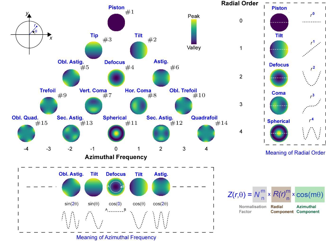Figure 9. Zernike basis set up to and including 4<sup>th</sup> radial order using the Noll convention