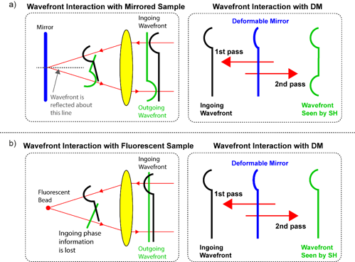 Figure 5. The effect of using a mirror-based or fluorescent sample when calibrating a deformable mirror.