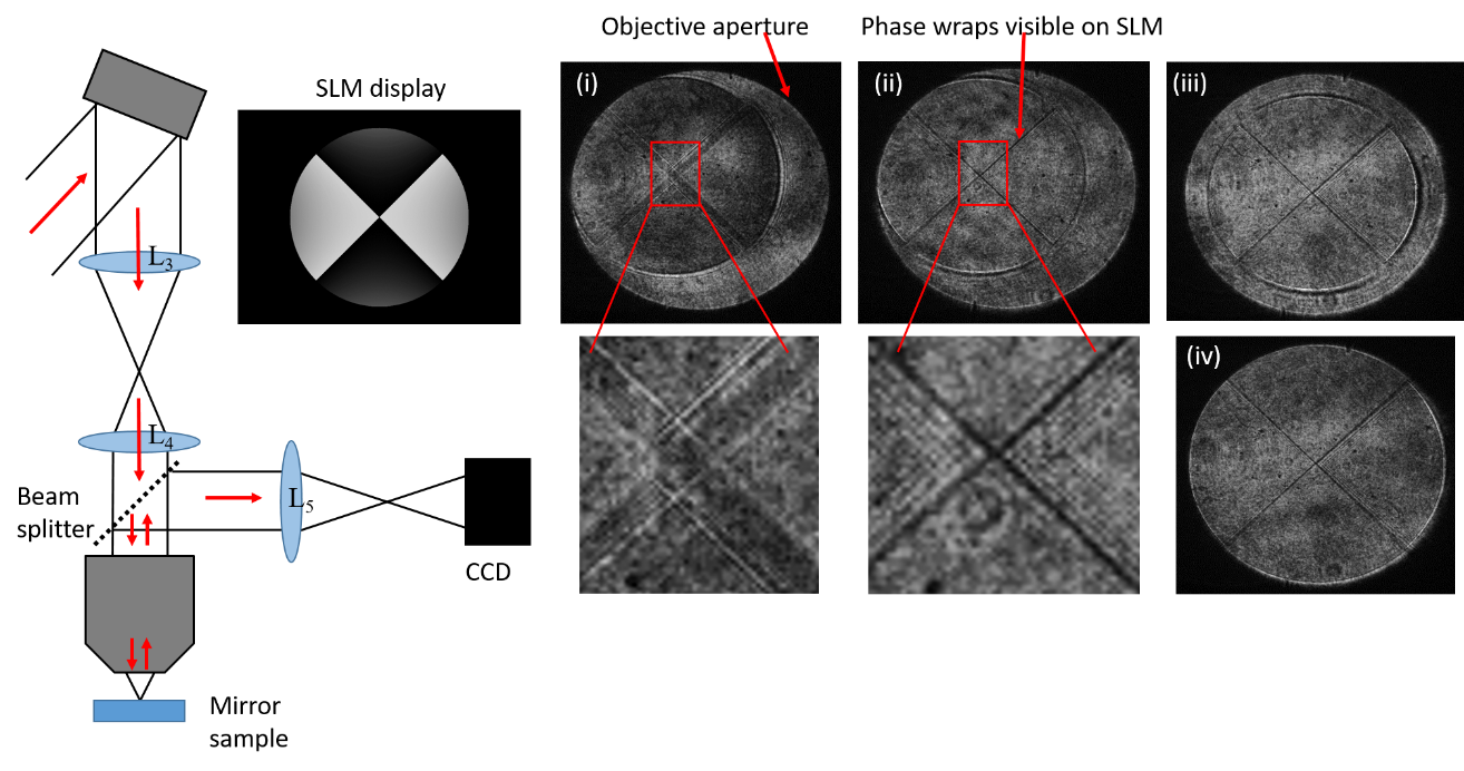 Figure 3: One possible experimental configuration for aligning the SLM and objective lens. A mirror sample is inserted beneath the objective lens. As the laser passes back through the objective, a beam splitter is positioned to direct light towards a CCD. (i) A single lens L5 is used to form an image of the hard edge of the objective aperture on the CCD. (ii) The SLM is axially repositioned, or the tube lenses L3 and L4 adjusted until the SLM is also in focus (the phase wraps on the SLM display cause diffraction and are hence visible as intensity modulation in the image). (iii) The position of SLM and/or objective perpendicular to the optic axis is then adjusted until the SLM pattern is centred on the objective aperture. (iv) The size of the active area on the SLM display is adjusted (in the SLM software) until it matches the objective aperture.