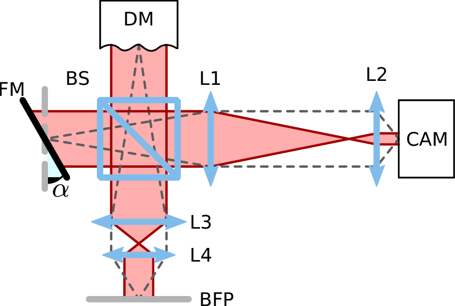 Figure 2: Layout of a Twyman–Green interferometer built to characterise a DM. Legend: FM flat mirror; L lens; BS beam splitter; CAM camera; BFP back focal plane of the microscope objective; \(\alpha\) tilt of the reference arm.