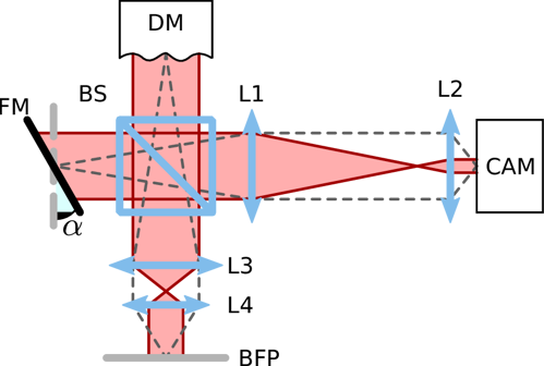 Figure 2: Layout of a Twyman–Green interferometer built to characterise a DM. Legend: FM flat mirror; L lens; BS beam splitter; CAM camera; BFP back focal plane of the microscope objective; \(\alpha\) tilt of the reference arm.