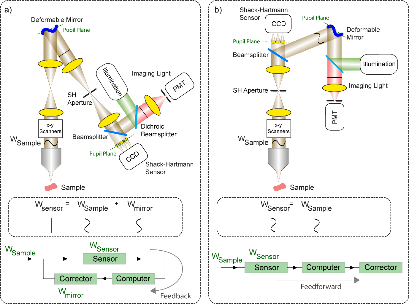 Figure 1. Difference between a closed-loop and open-loop AO system implemented in a simple confocal fluorescence imaging system. (a) In a closed-loop system, the light returning from the sample passes via the deformable mirror.