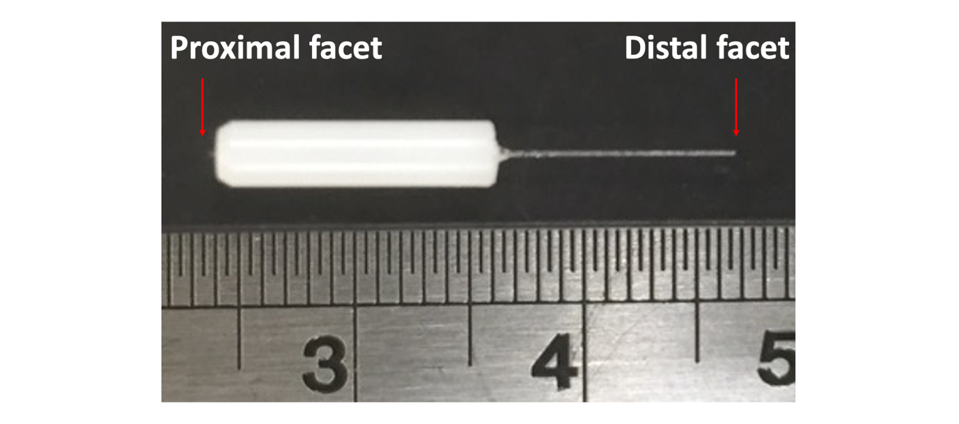 Figure 3.1. Photograph of an implant (MMF FG050UGA; Ferrule CF128).