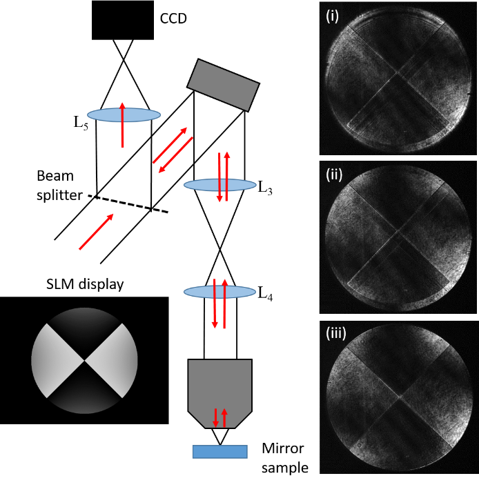 Figure 4: An alternative experimental configuration for matching the SLM and objective. Again a mirror sample is used to direct the light back through the system, such that the laser is reflected twice from the SLM. Again a beam splitter is used and lens L5 images the plane of the SLM onto the CCD. As there are two reflections from the SLM, the intensity modulation from the pattern displayed on the SLM is accumulated twice by the laser beam. Thus two “crosses” are seen on the CCD image (i). The system is adjusted such that both crosses are in mutual focus (image (ii) and overlap (image (iii)), ensuring respective alignment along the optic axis and perpendicular to it.