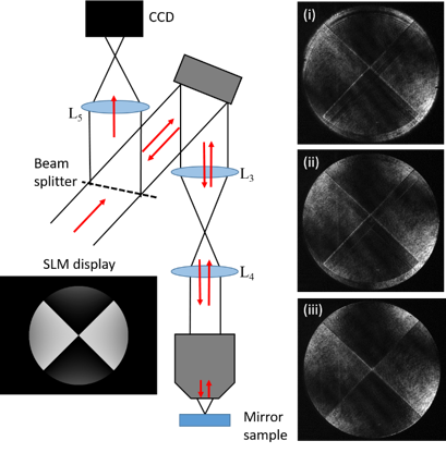 Figure 4: An alternative experimental configuration for matching the SLM and objective. Again a mirror sample is used to direct the light back through the system, such that the laser is reflected twice from the SLM. Again a beam splitter is used and lens L5 images the plane of the SLM onto the CCD. As there are two reflections from the SLM, the intensity modulation from the pattern displayed on the SLM is accumulated twice by the laser beam. Thus two “crosses” are seen on the CCD image (i). The system is adjusted such that both crosses are in mutual focus (image (ii) and overlap (image (iii)), ensuring respective alignment along the optic axis and perpendicular to it.